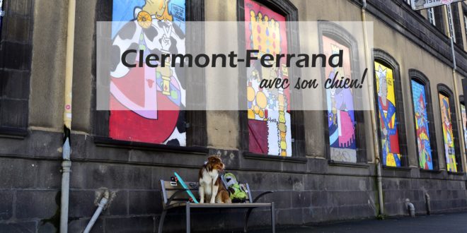 Clermont Ferrand chien