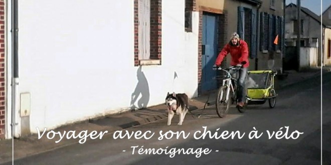 voyage vélo chien