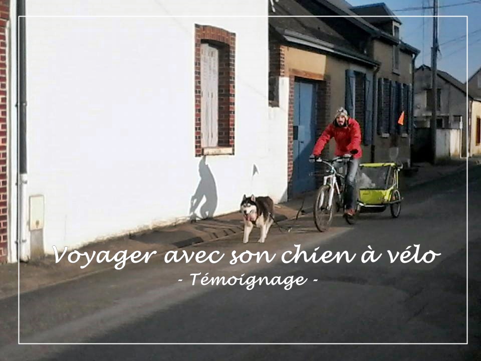 voyage vélo chien