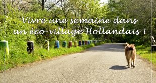 écovillage hollandais