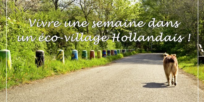 écovillage hollandais