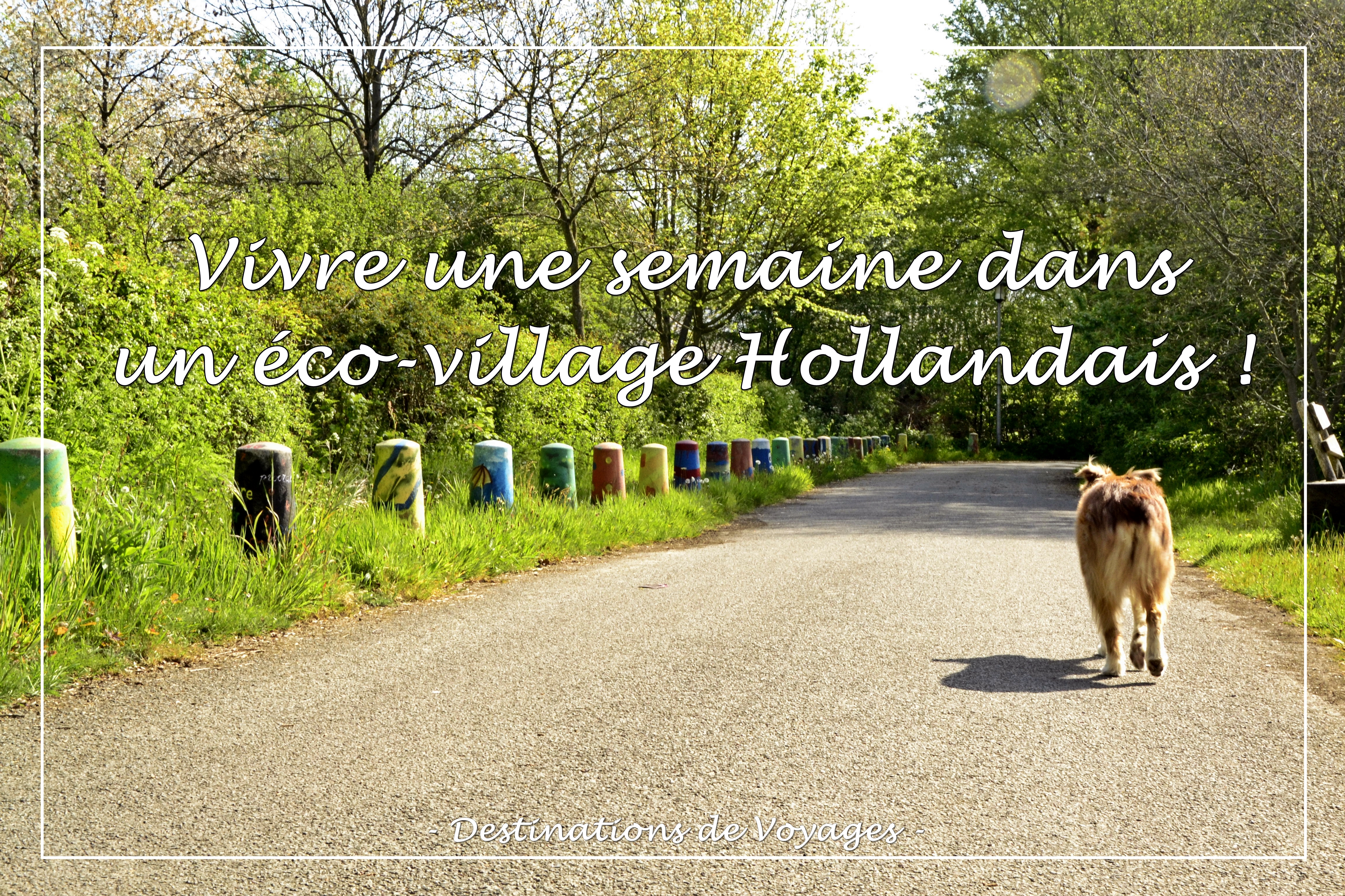 écovillage hollandais
