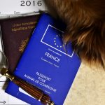 passeport chien