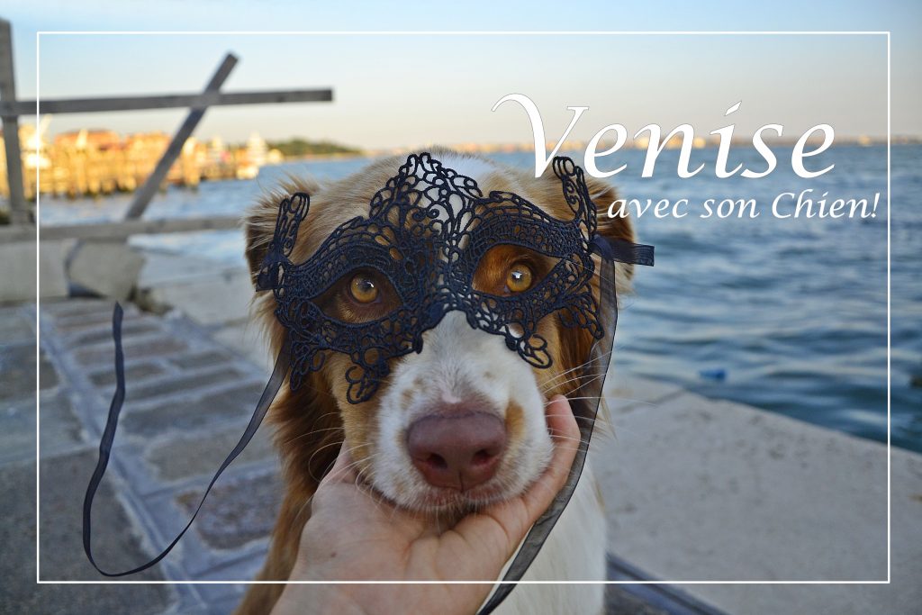 Venise-avec-son-chien