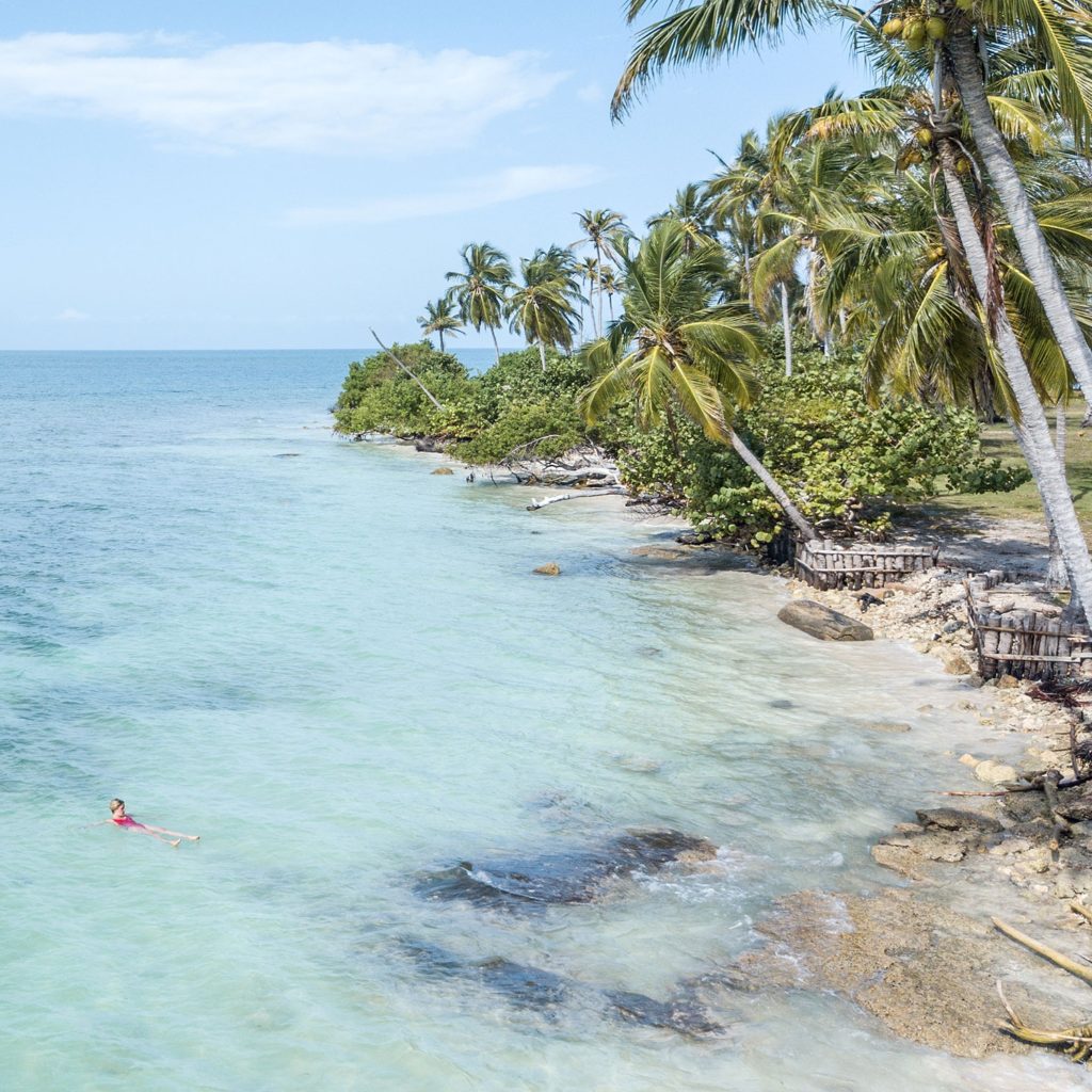 amérique du sud colombie chien