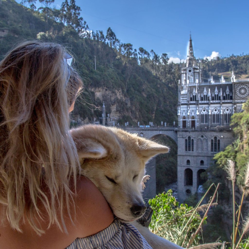 dog travel colombia
