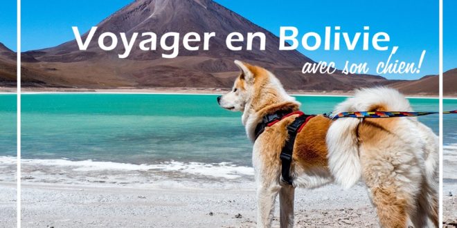 lac titicaca chien